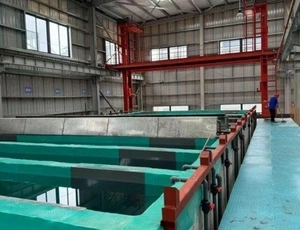 Anodizing